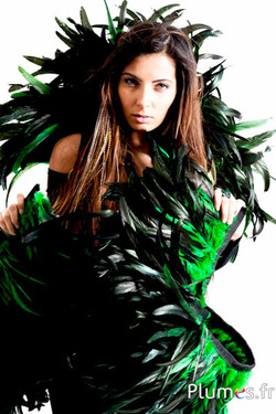 Col de coq - longueur des plumes 20-25 cm - noir-vert